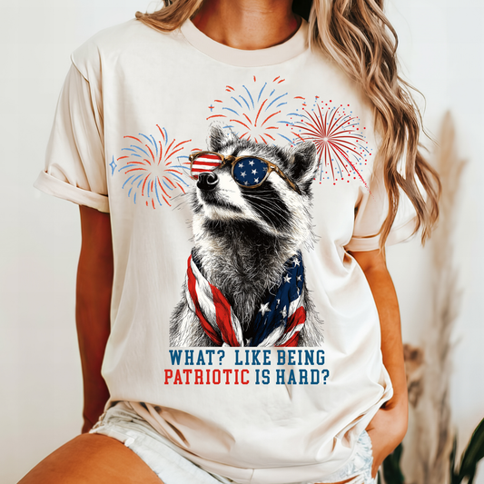 July 4th raccoon 250 anniversary raccoon fireworks independence day celebration shirt