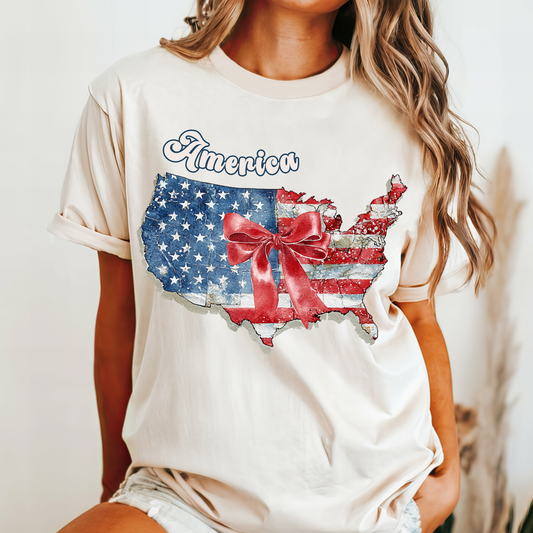 July 4th 250 anniversary shirt USA map shirt independence day fireworks celebration