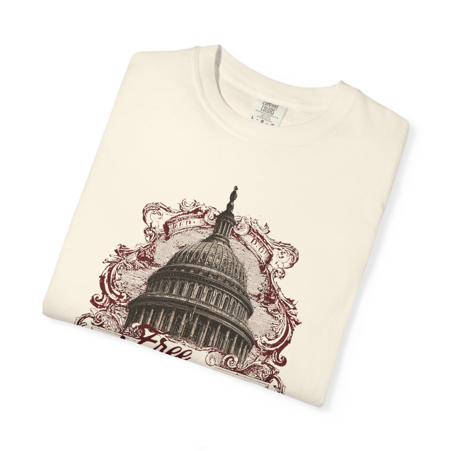 Washington DC Protest Tee