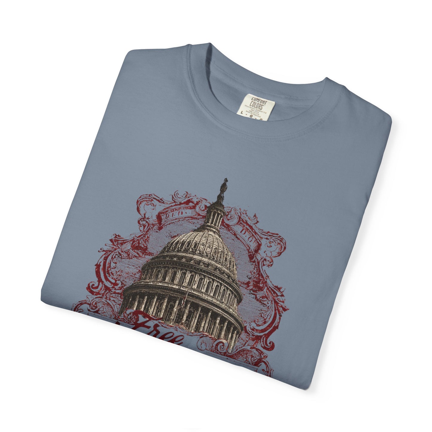 Washington DC Protest Tee